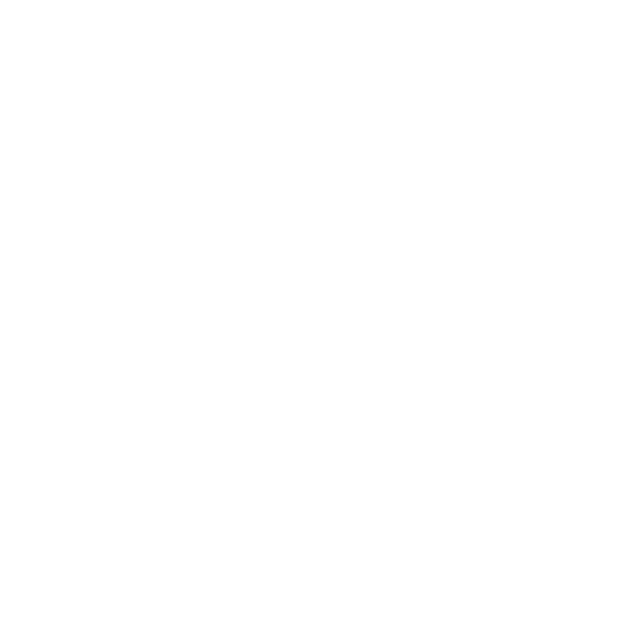 Chicago Fire FC